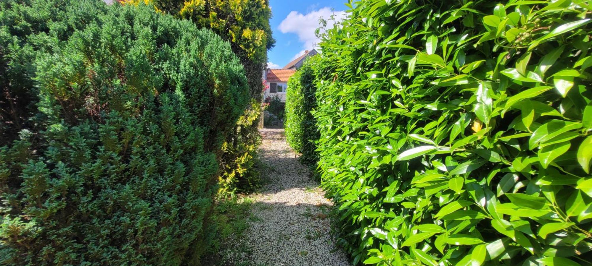 La Maison De L'Abeille De Percey Longeau-Percey Bagian luar foto